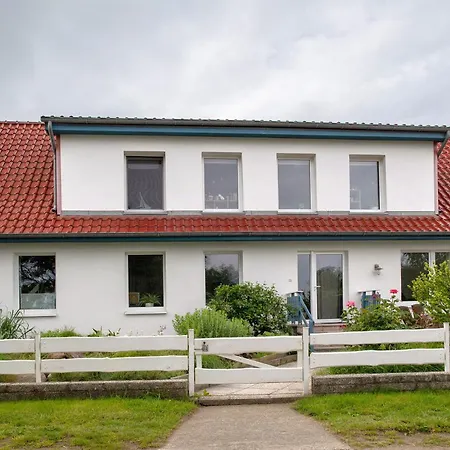 Moeve Aba 33 * Рерик