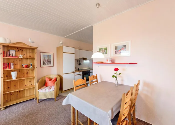 Moeve Aba 33 * רריק